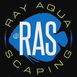 Meet your Posher, Ray aqua